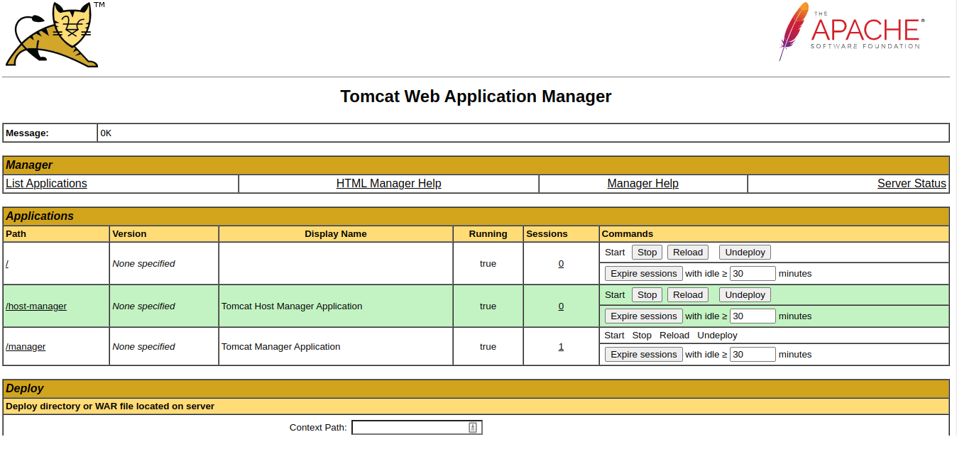 Apache Tomcat Server Ubuntu22 04 — deployment guide screenshot 2