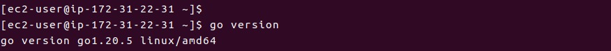 Go Language Amazon Linux 2 — deployment guide screenshot 1