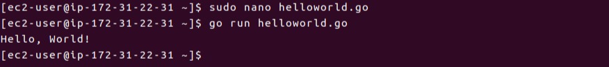Go Language Amazon Linux 2 — deployment guide screenshot 2