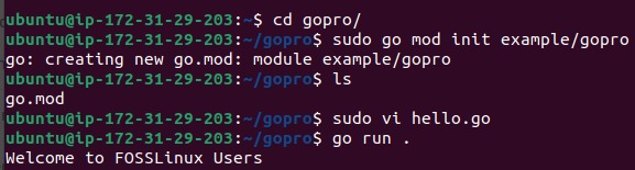 Go Language Ubuntu 20 04 22 04 — deployment guide screenshot 1