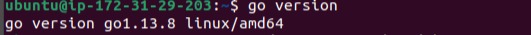 Go Language Ubuntu 20 04 22 04 — deployment guide screenshot 3